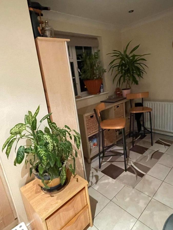 Cozy Homestay Croydon Exterior foto